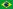 Brasileiro